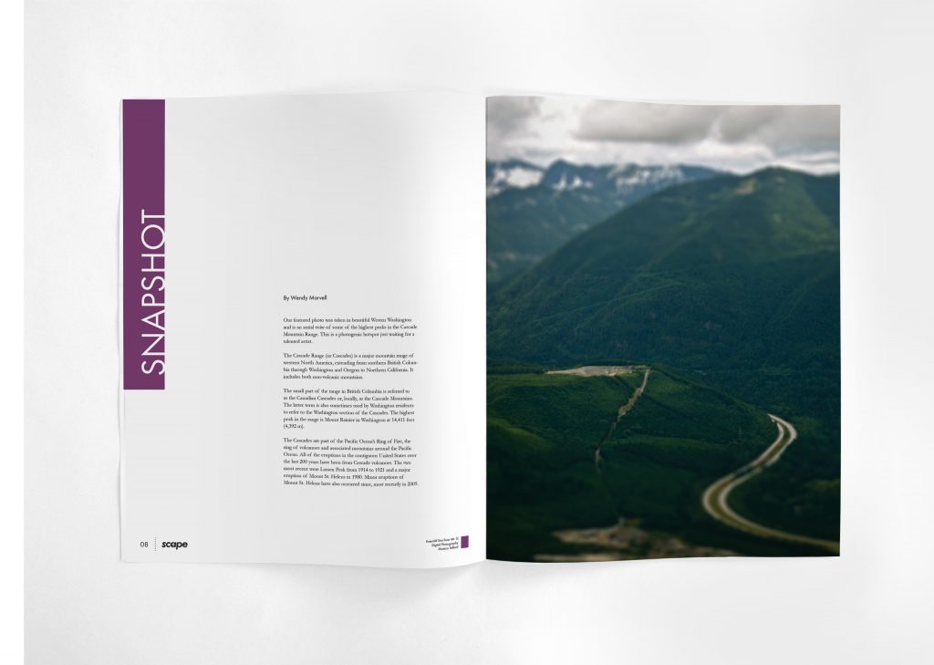 Scape_department_mockup