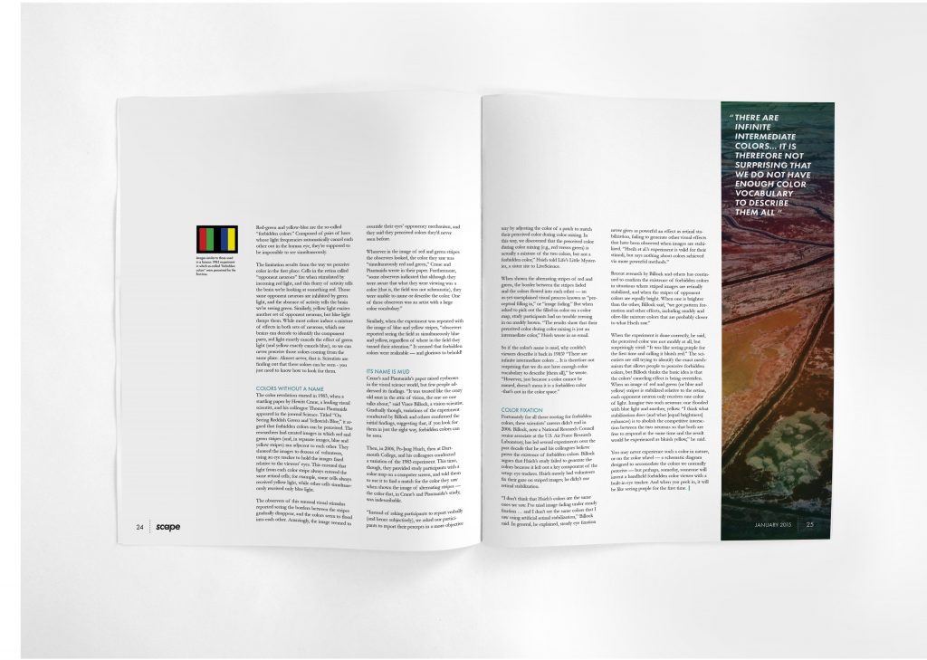 Scape_storySpread_mockup